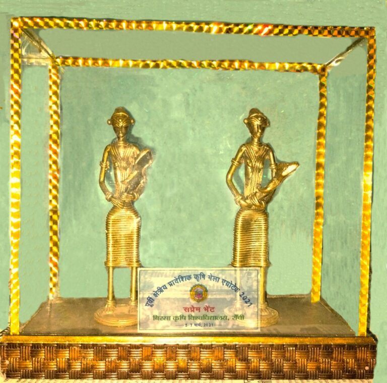 Miss Chami Murmu (EX- Secretary of Sahayogi Mahila) was honored at Birsa Agriculture University.