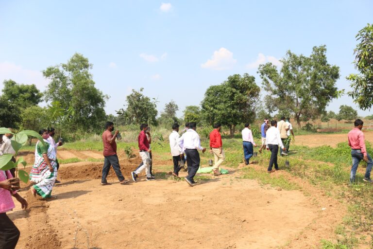 World Environment Day